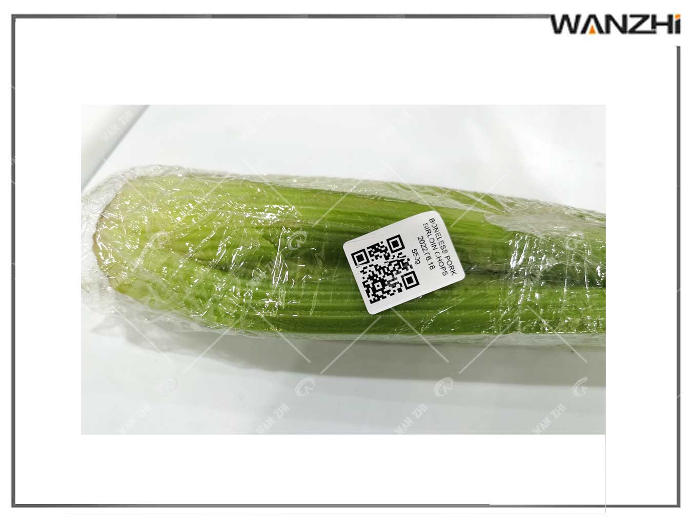 打（dǎ）印貼標（biāo）機,稱重打印貼標一體機,稱重貼標機（jī）